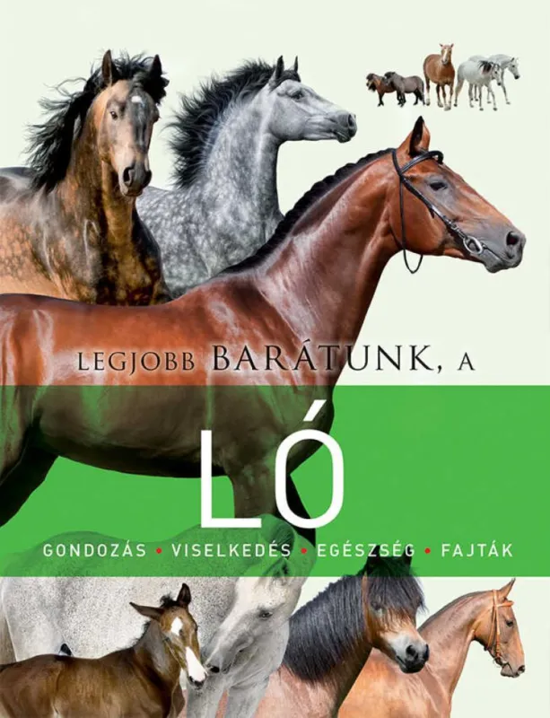 Legjobb barátunk a ló Ne maradj le