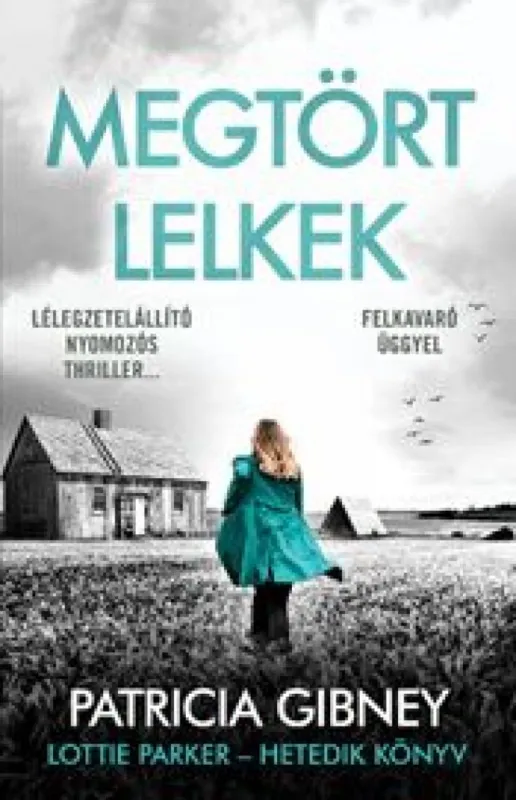 Megtört lelkek - Lottie Parker 7. Nézd meg most