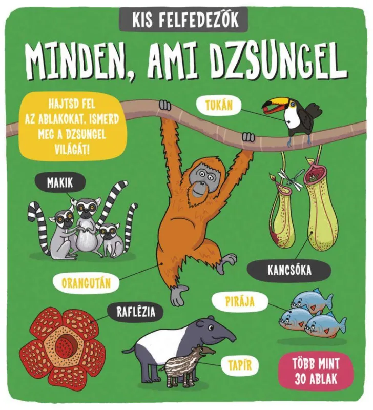 Kis felfedezők - Minden, ami dzsungel - Minden, ami dzsungel Expressz kézbesítés