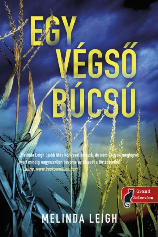 Szuper akció Egy végső búcsú (Morgan Dane 2.)