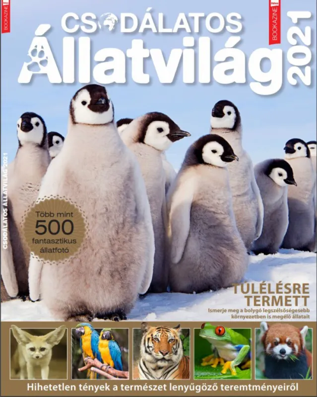 Füles Bookazine - Csodálatos Állatvilág (2021) Korlátozott ajánlat
