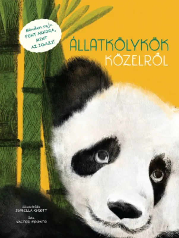 Állatkölykök közelről Outlet