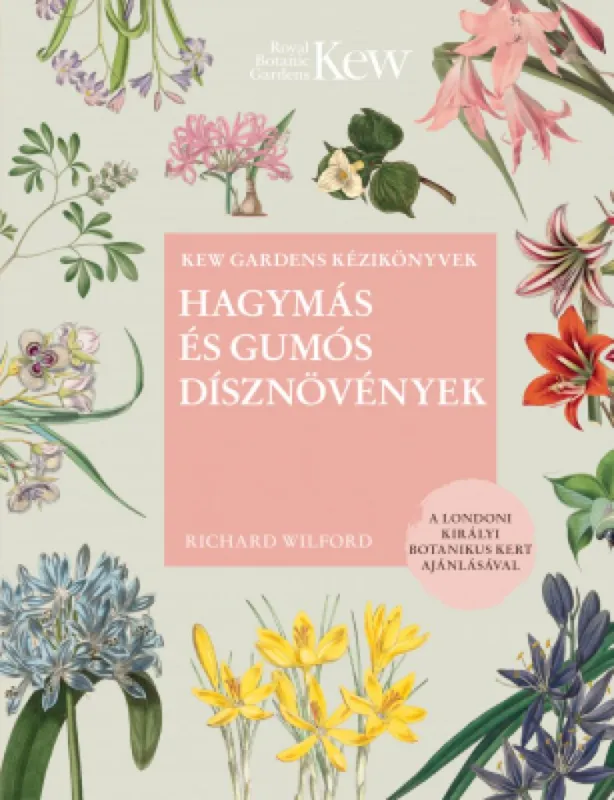 Hagymás és gumós dísznövények Végkiárusítás