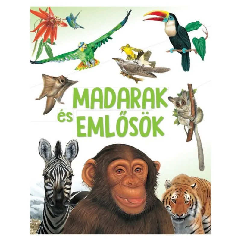 Madarak és emlősök Ne maradj le