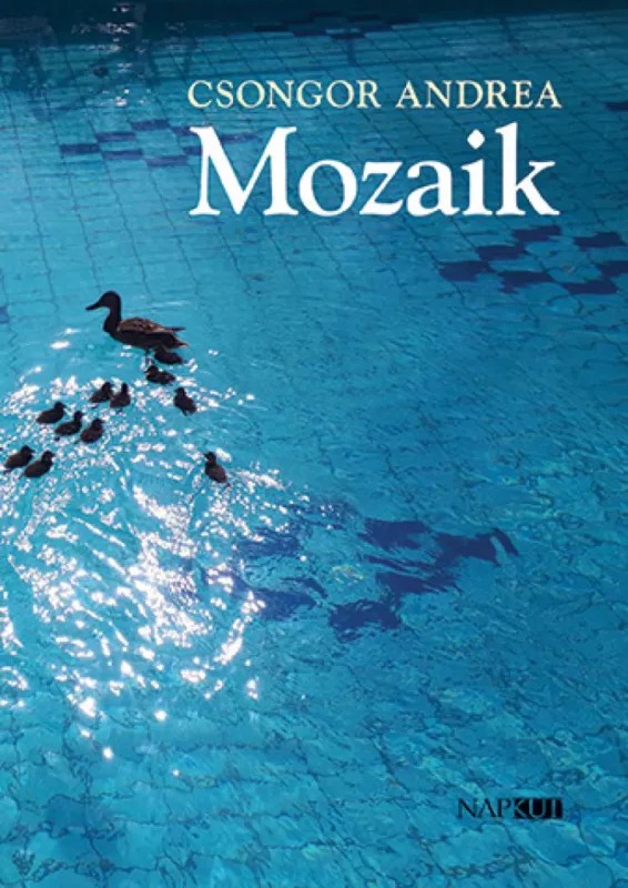 Utolsó esély Mozaik