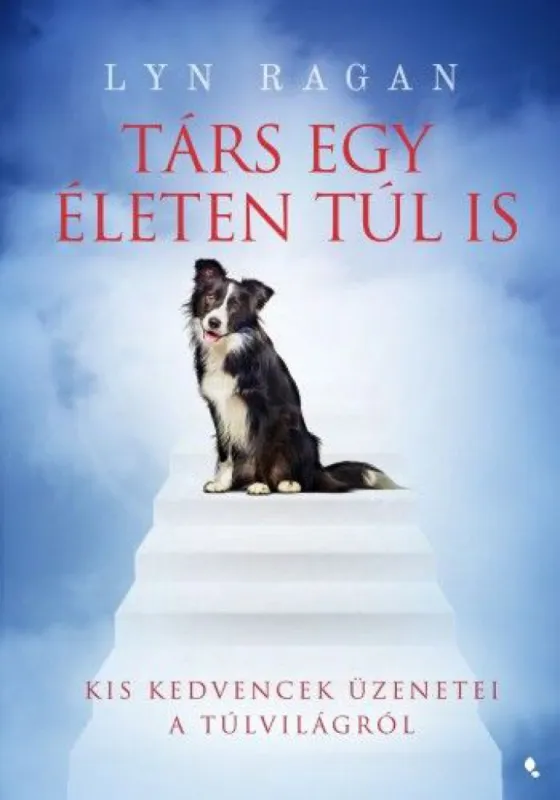 Alacsony ár Társ egy életen túl is - Kis kedvencek üzenetei a túlvilágból