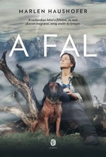 Gyors kiszállítás A fal