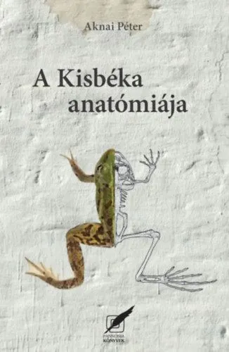 A kisbéka anatómiája Csak ma