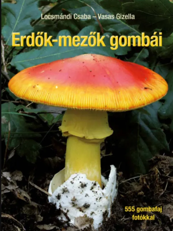 Erdők-mezők gombái - Locsmándi Csaba és Vasas Gizella (javított utánnyomás) Azonnal elérhető