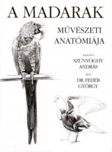 A madarak művészeti anatómiája Kihagyhatatlan ajánlat