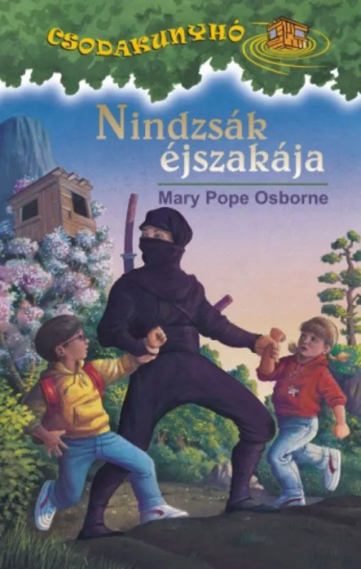 Nindzsák éjszakája - Csodakunyhó 5. Expressz kézbesítés