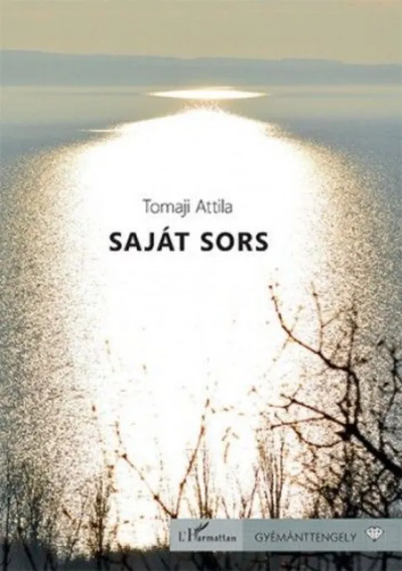 Saját sors Utolsó esély