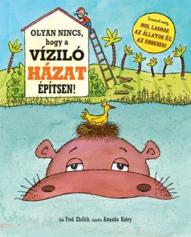 Olcsó Olyan nincs, hogy a víziló házat építsen!