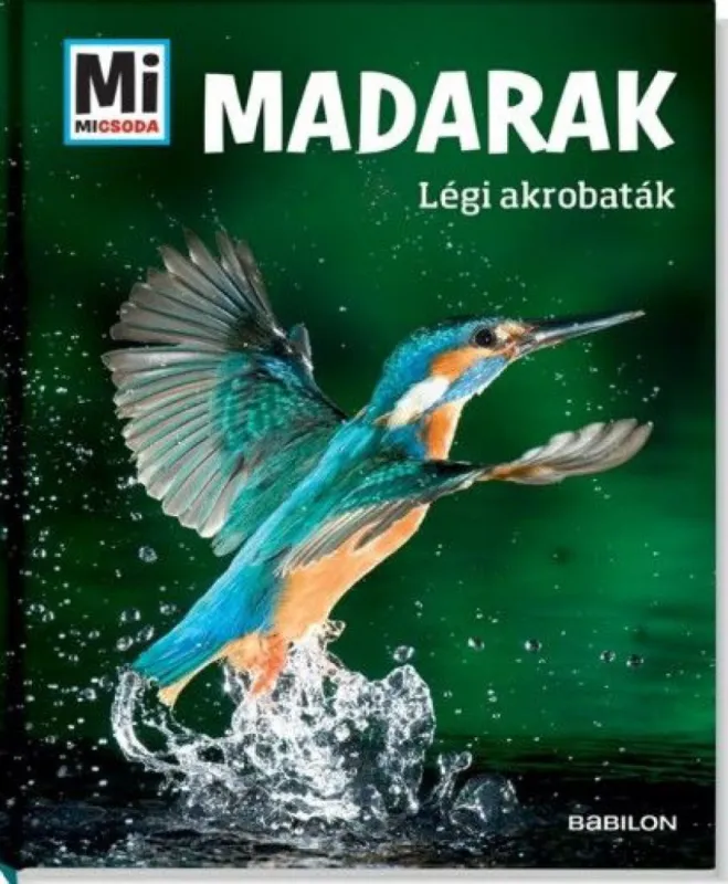 Madarak - Légi akrobaták Nézd meg most