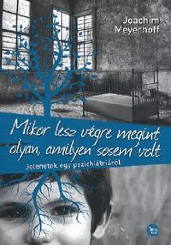 Olcsó Mikor lesz végre megint olyan, amilyen sosem volt - Jelenetek egy pszichiátriáról