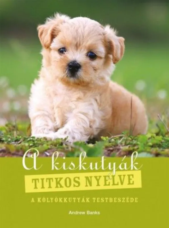 Biztonságos fizetés A kiskutyák titkos nyelve - A kölyökkutyák testbeszéde