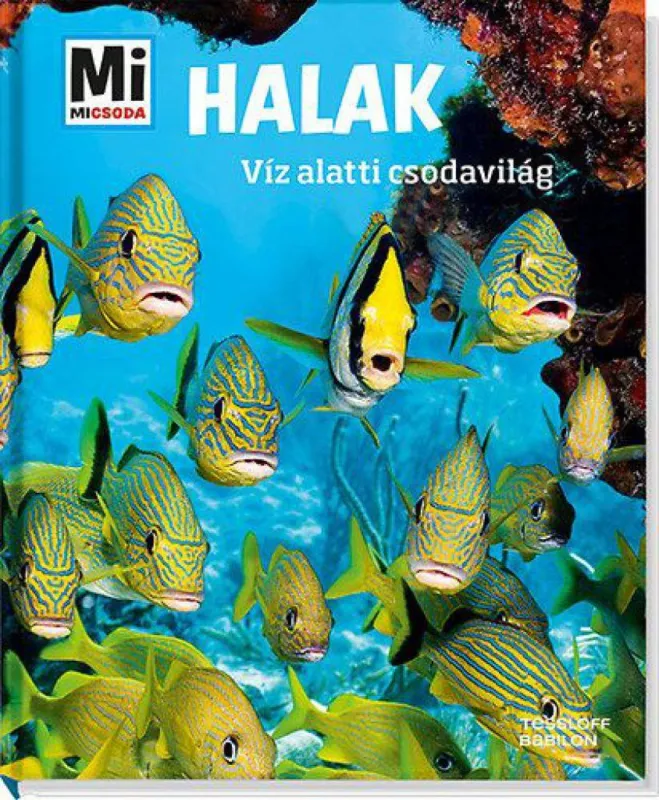 Halak - Víz alatti csodavilág Népszerű