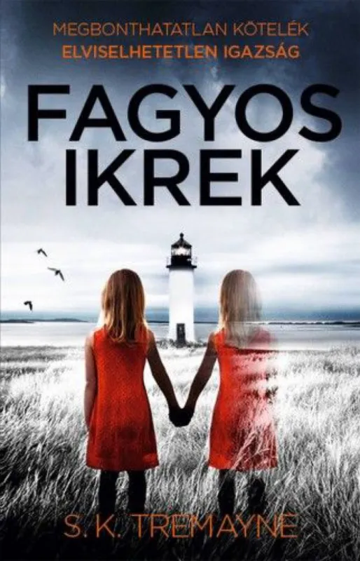 Csak ma Fagyos ikrek