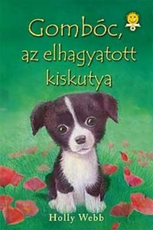 Utolsó esély Gombóc, az elhagyatott kiskutya