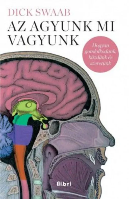 Vedd meg most Az agyunk mi vagyunk - Az anyaméhtől az Alzheimerig