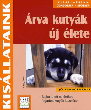 Árva kutyák új élete Újdonság