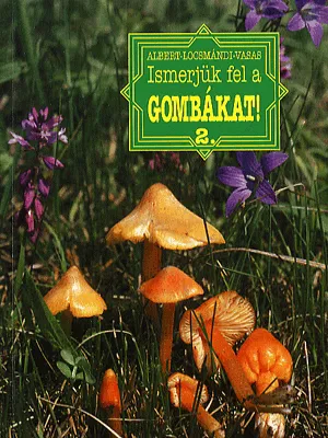 Biztonságos fizetés Ismerjük fel a gombákat 2.