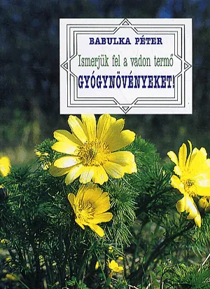 Ismerjük fel a vadon termő gyógynövényeket - A kötetet elsősorban a gyógynövények gyűjtésével, feldolgozásával és oktatásával foglalkozó szakembereknek ajánljuk, de hasznos útitársa lehet minden kirándulónak. Olcsó