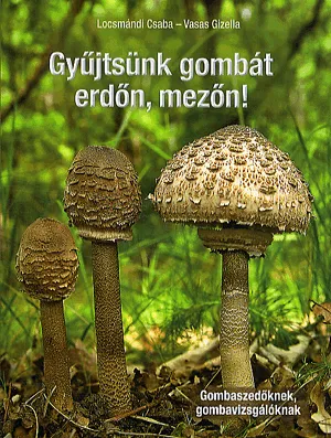 Gyűjtsünk gombát erdőn, mezőn! Különleges ajánlat