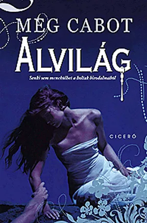 Outlet Alvilág