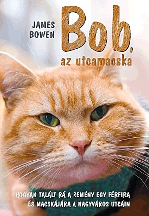 Biztonságos fizetés Bob, az utcamacska