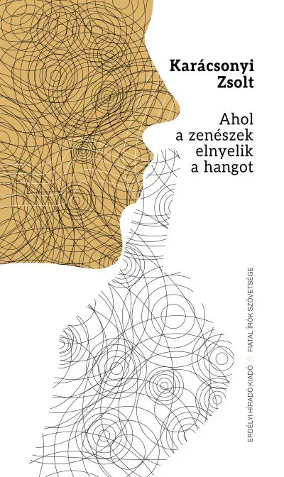 Csak ma Ahol a zenészek elnyelik a hangot - Karácsonyi Zsolt