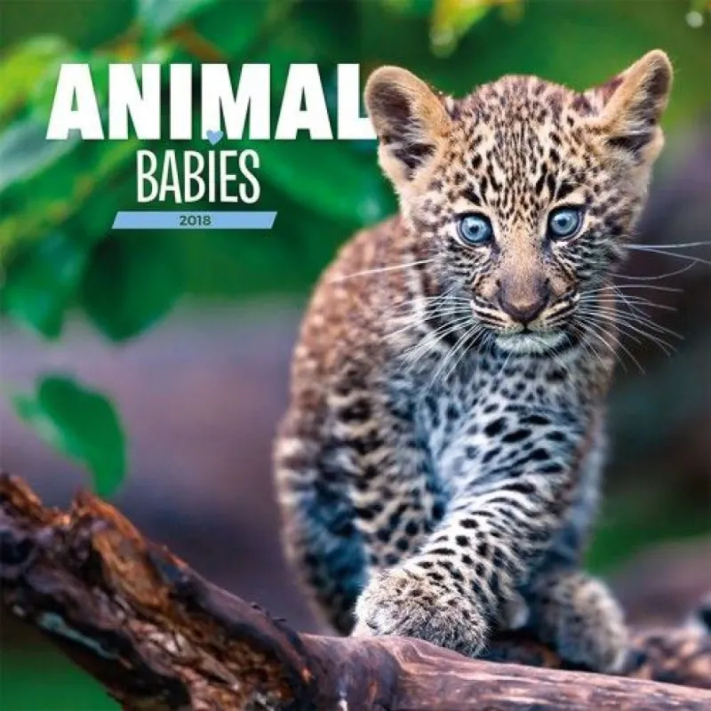 Végkiárusítás Animal Babies 2018 - Naptár