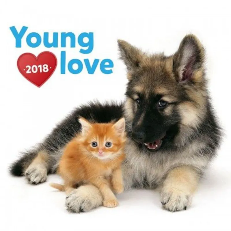 Vedd meg online Young Love – Kittens & Puppies 2018 - Naptár