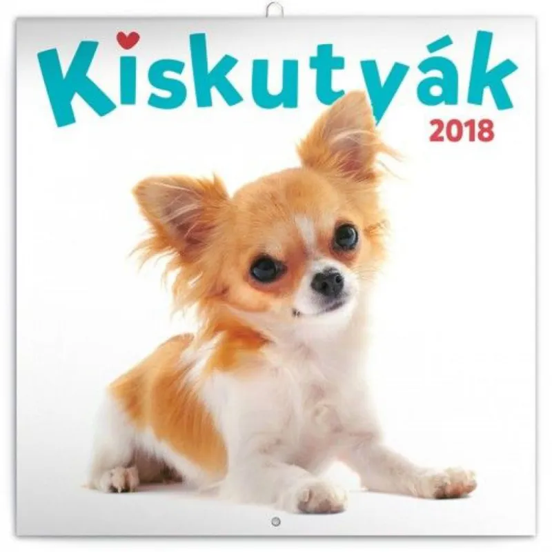 Szuper akció Puppies - Kiskutyák 2018 - Naptár