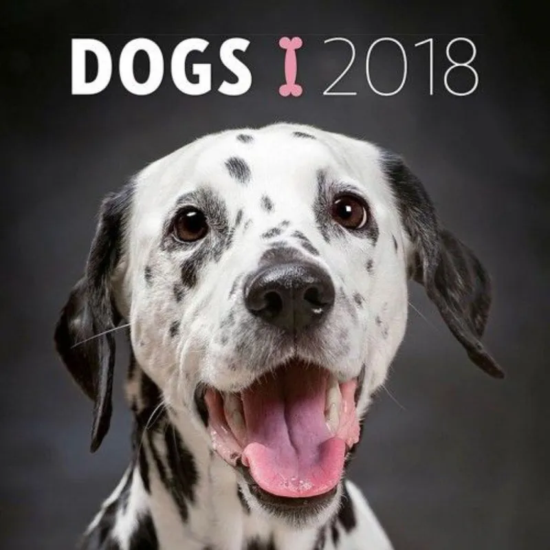 Dogs 2018 - Naptár Szuper ajánlat