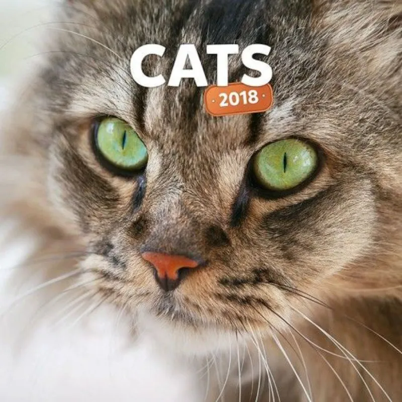 Cats 2018 - Naptár Olcsó