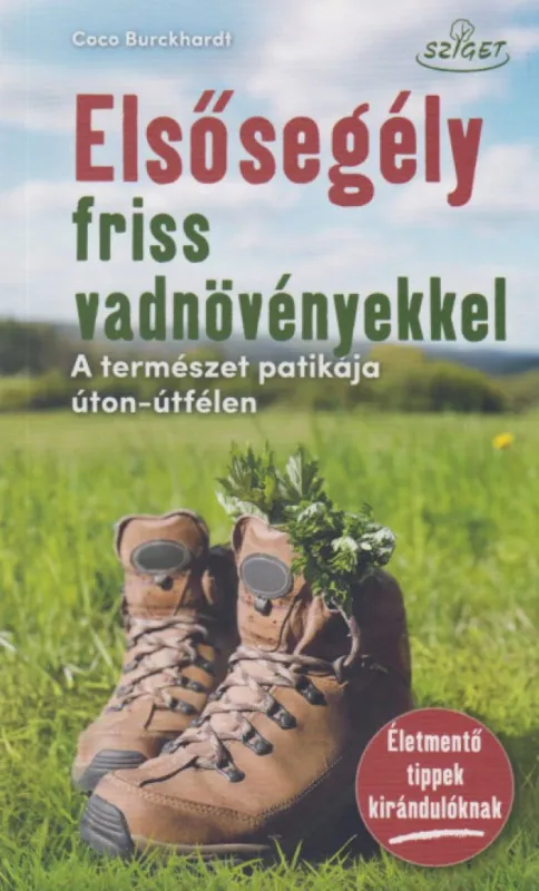 Elsősegély friss vadnövényekkel - A természet patikája úton-útfélen Azonnal elérhető