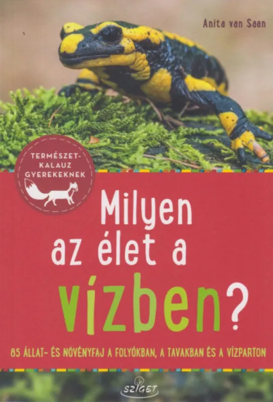 Végkiárusítás Milyen az élet a vízben? - 85 állat- és növényfaj a folyókban, a tavakban és a vízparton