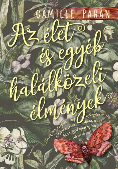 Különleges ajánlat Az élet és egyéb halálközeli élmények