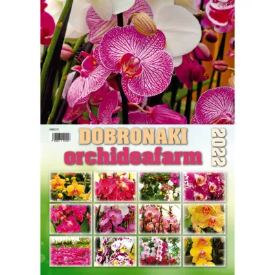 Dobronaki orchideafarm falinaptár - 2022 Szuper ajánlat