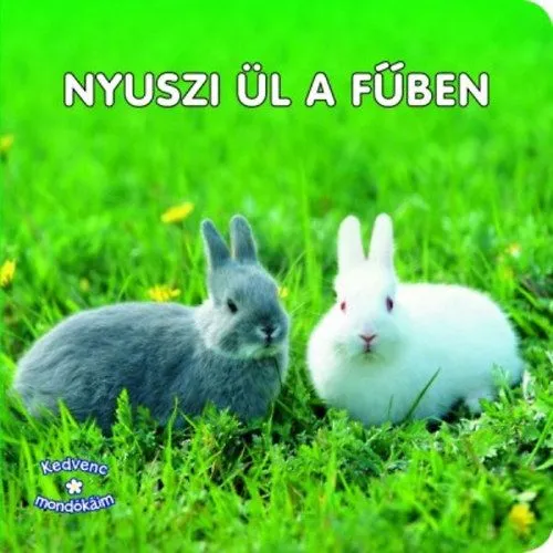 Biztonságos fizetés Nyuszi ül a fűben - Kedvenc mondókáim