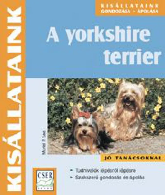 Vásárlói kedvenc A yorkshire terrier