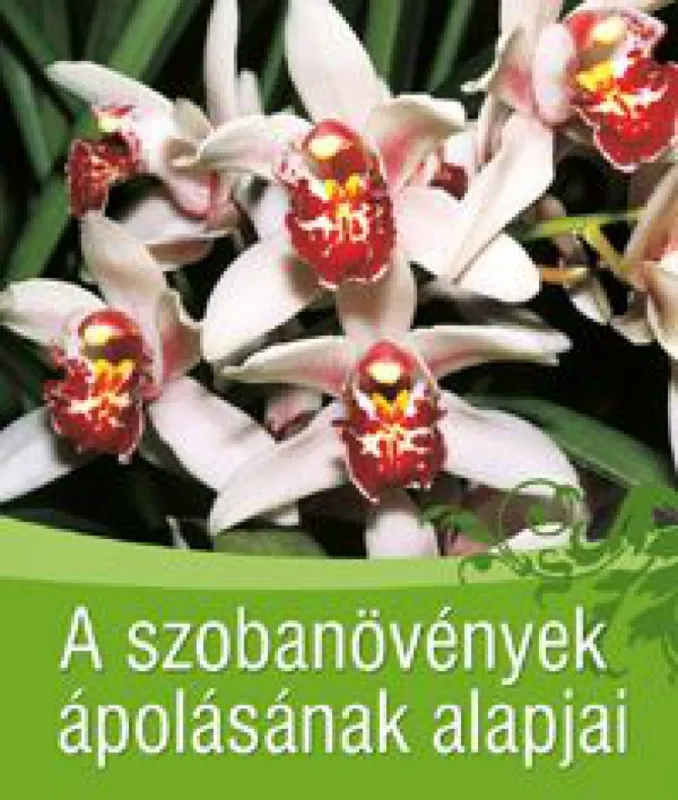 A szobanövények ápolásának alapjai Expressz szállítás