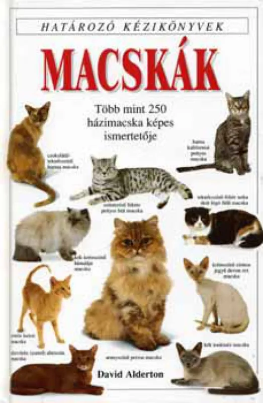 Macskák Szuper ajánlat