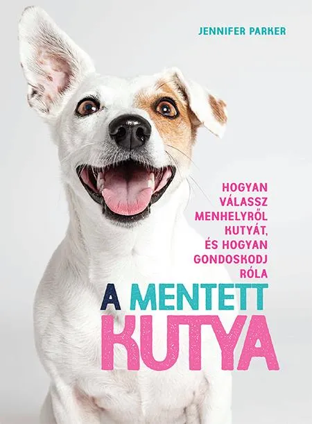 Kiárusítás A mentett kutya