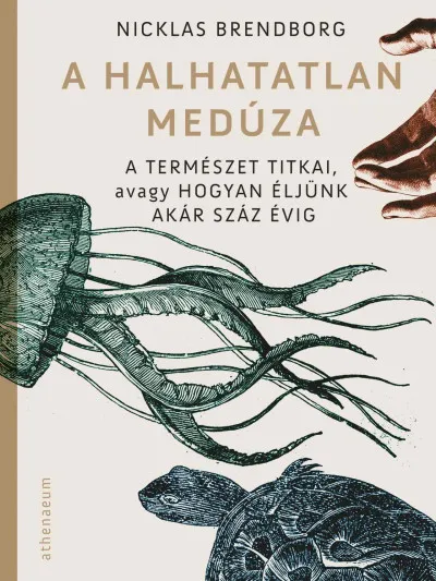 A halhatatlan medúza - A természet titkai, avagy hogyan éljünk akár száz évig Olcsó