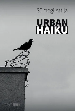 Urban haiku Kiárusítás
