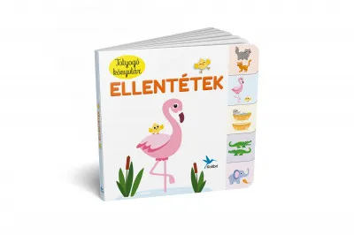 Totyogó könyvtár: Ellentétek Legnépszerűbb