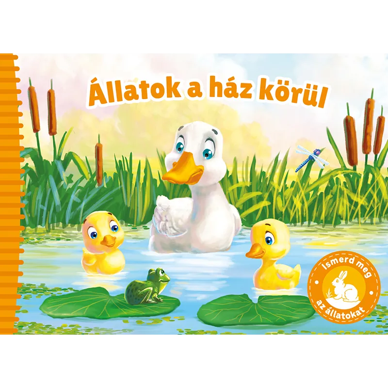 Gyors szállítás Ismerd meg az állatokat – Állatok a ház körül