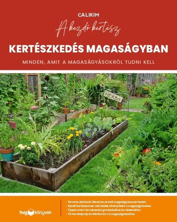 Kertészkedés magaságyban - Minden, amit a magaságyásokról tudni kell Exkluzív ajánlat